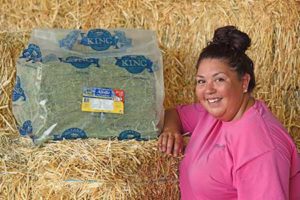 25-Lb Bag of Alfalfa Hay