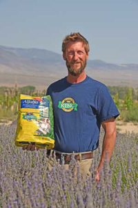 4-Lb. Bag of Alfalfa Hay