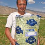 10-Lb Bag of Oat, Wheat &amp; Barley Hay