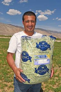 10-Lb Bag of Oat, Wheat & Barley Hay