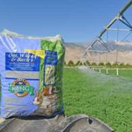 4-Lb Bag of Oat, Wheat &amp; Barley Hay