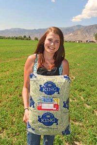 10-Lb Bag of Timothy Hay