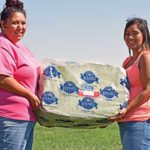 50-Lb Bag of Timothy Hay