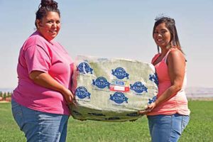 50-Lb Bag of Timothy Hay